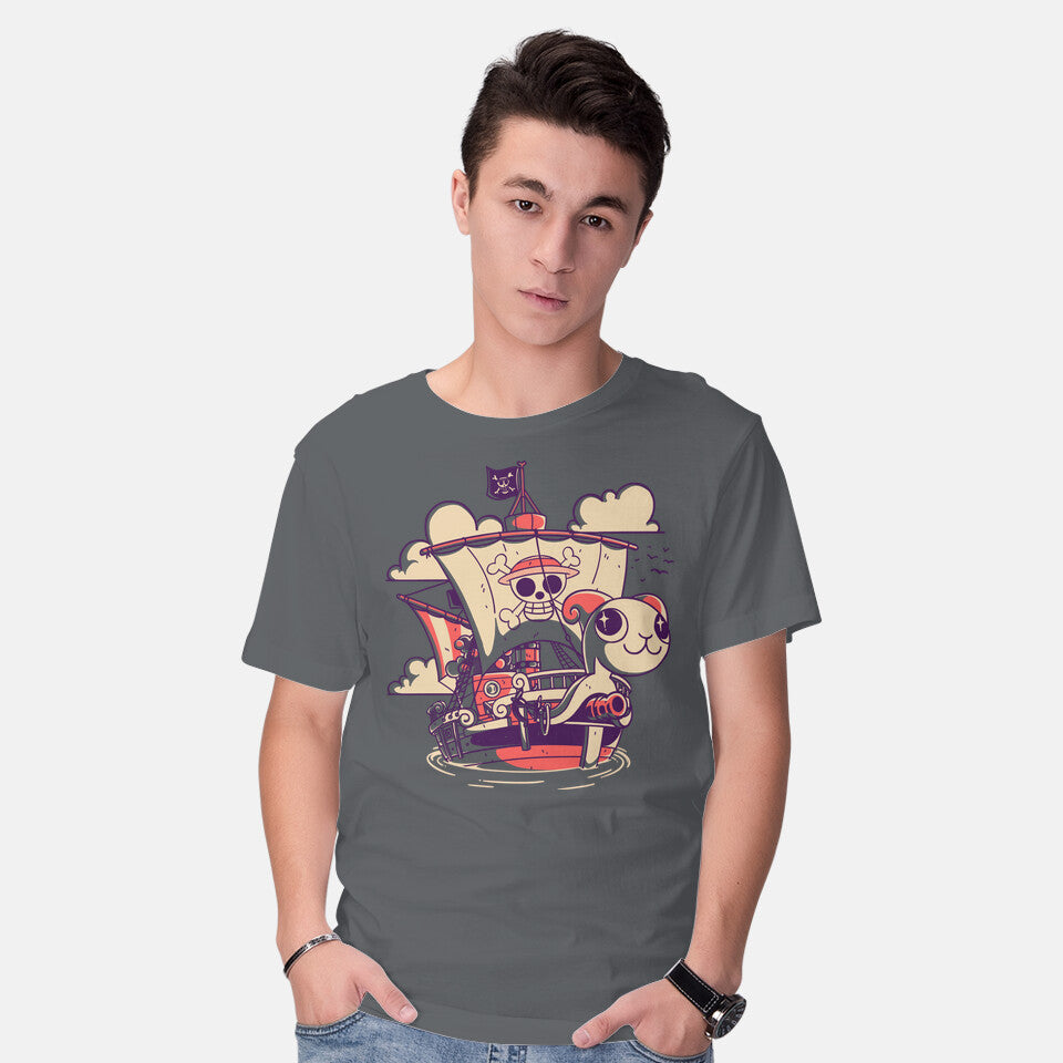 Straw Hat Ship