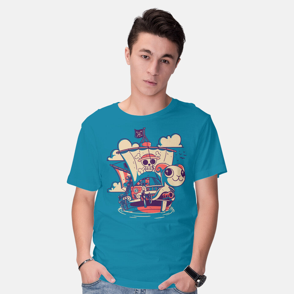Straw Hat Ship