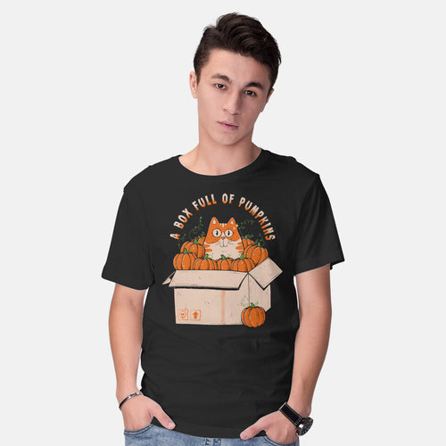 A Box Full Of Pumpkins