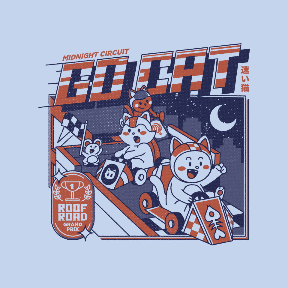 Midnight Race On Your Roof
