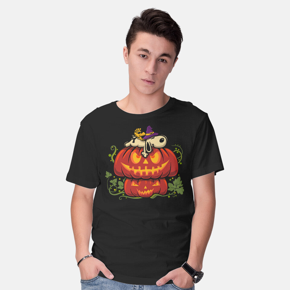 Beagle's Pumpkin House