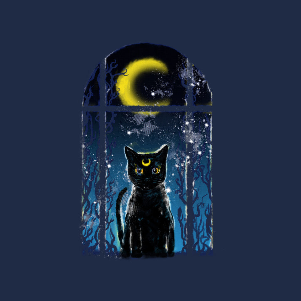 Moon Visitor