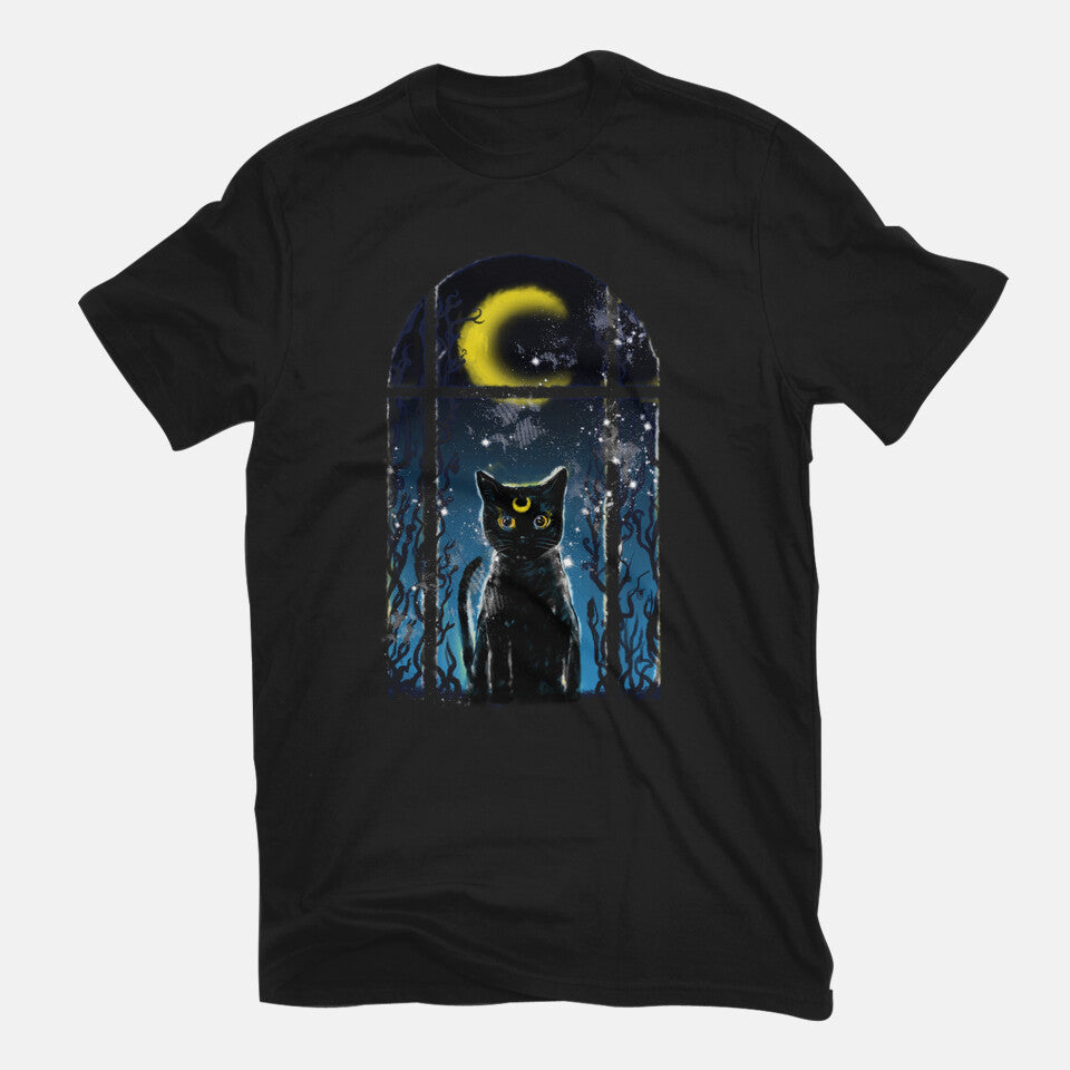 Moon Visitor