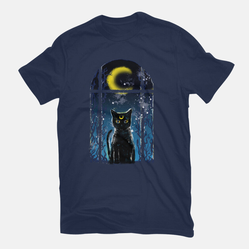 Moon Visitor