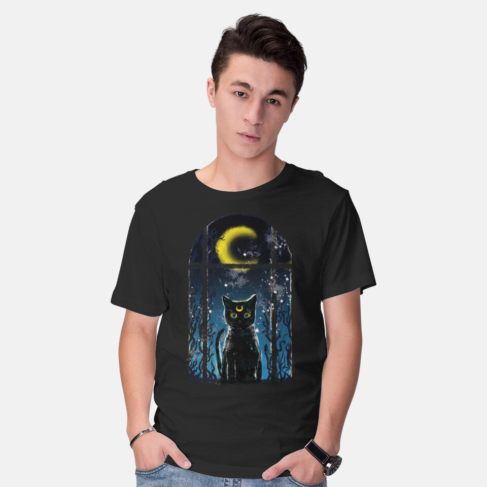 Moon Visitor