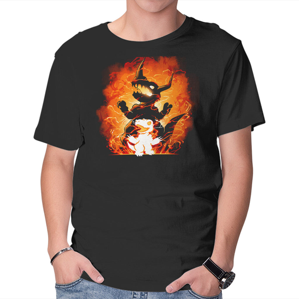 Fire Evolution