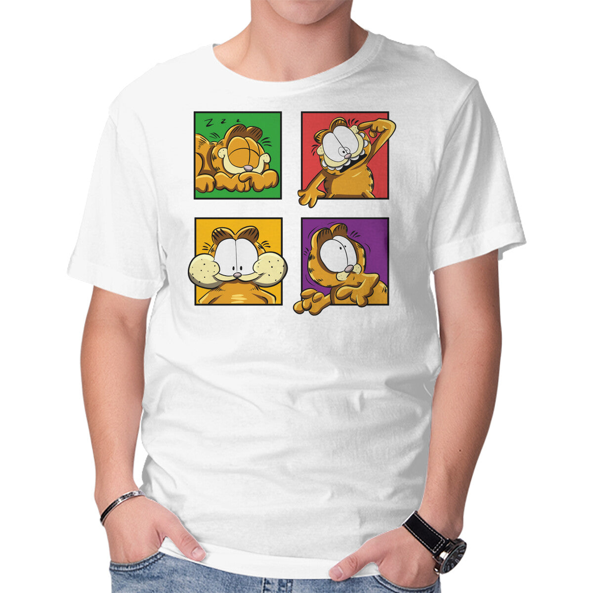 Orange Cat Emotions