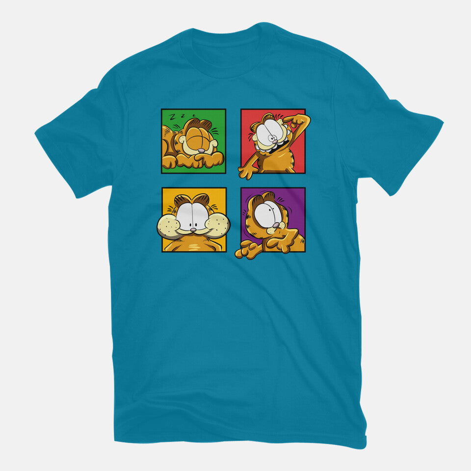 Orange Cat Emotions