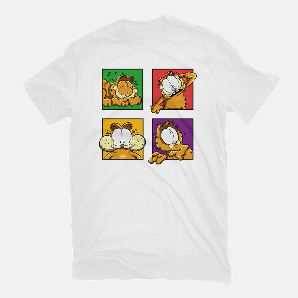 Orange Cat Emotions