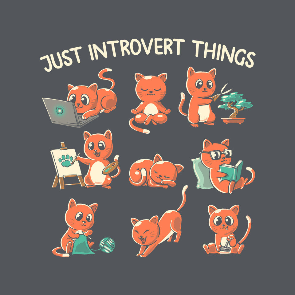 Just Introvert Things