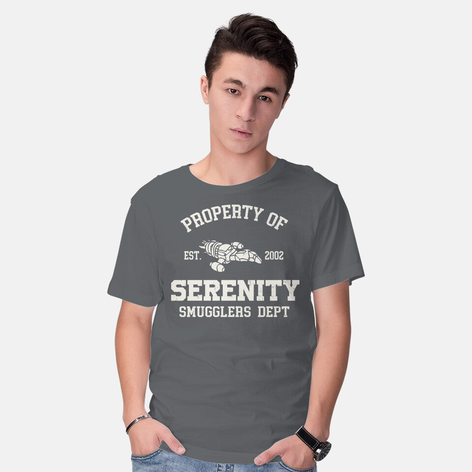 Property Of Serenity