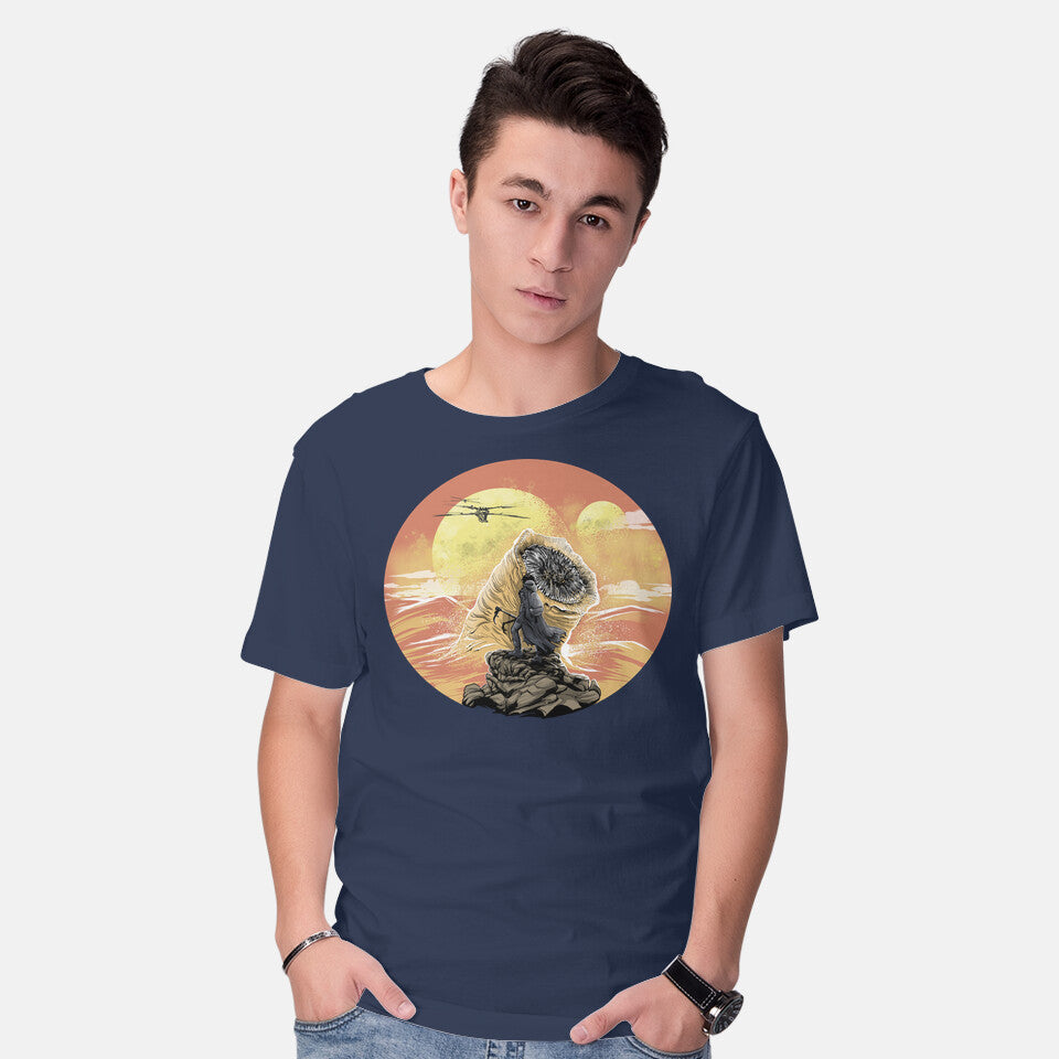Wanderer Above The Sea Of Sand