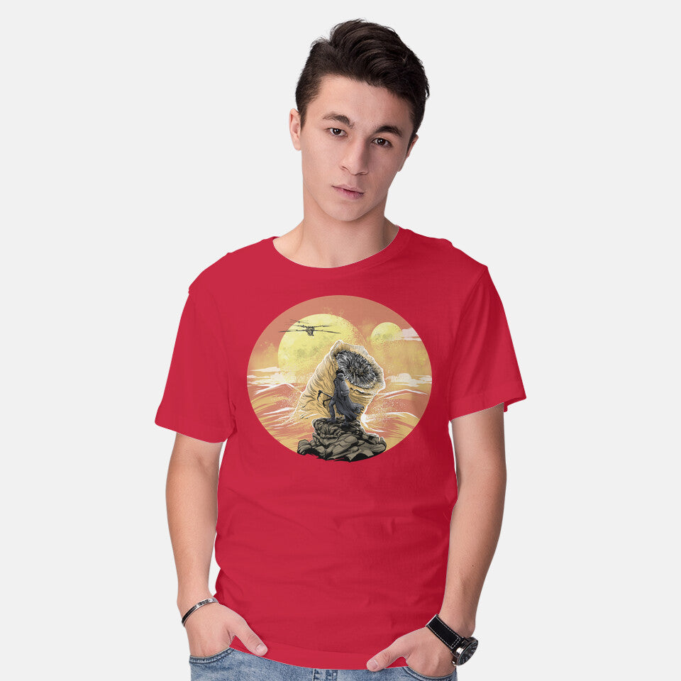 Wanderer Above The Sea Of Sand