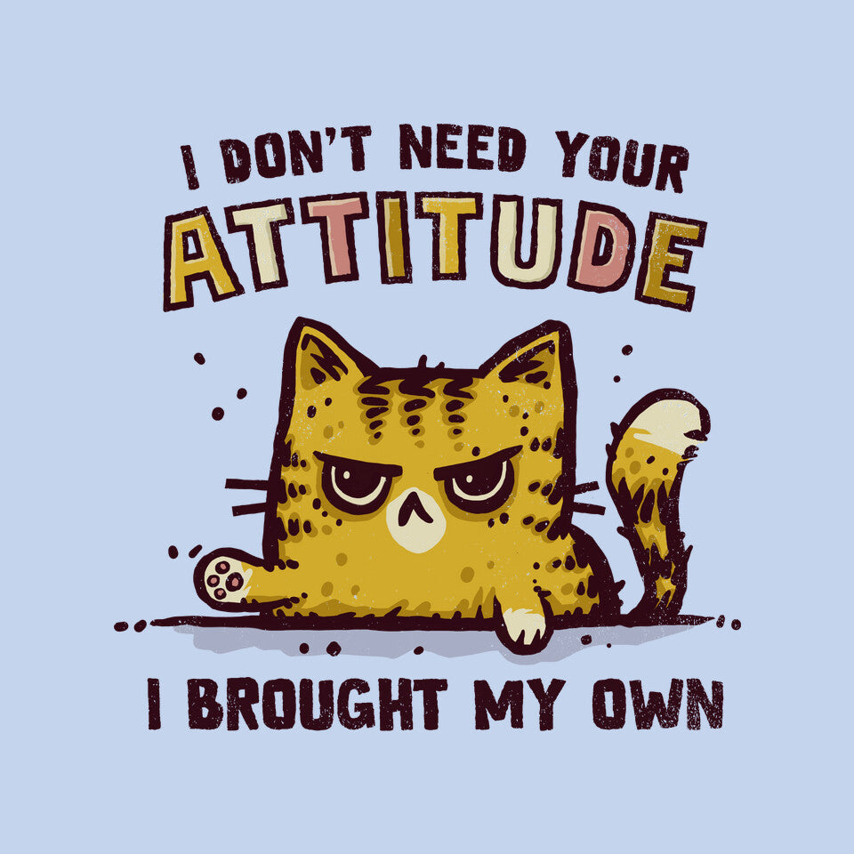 I Don't Need Your Attitude