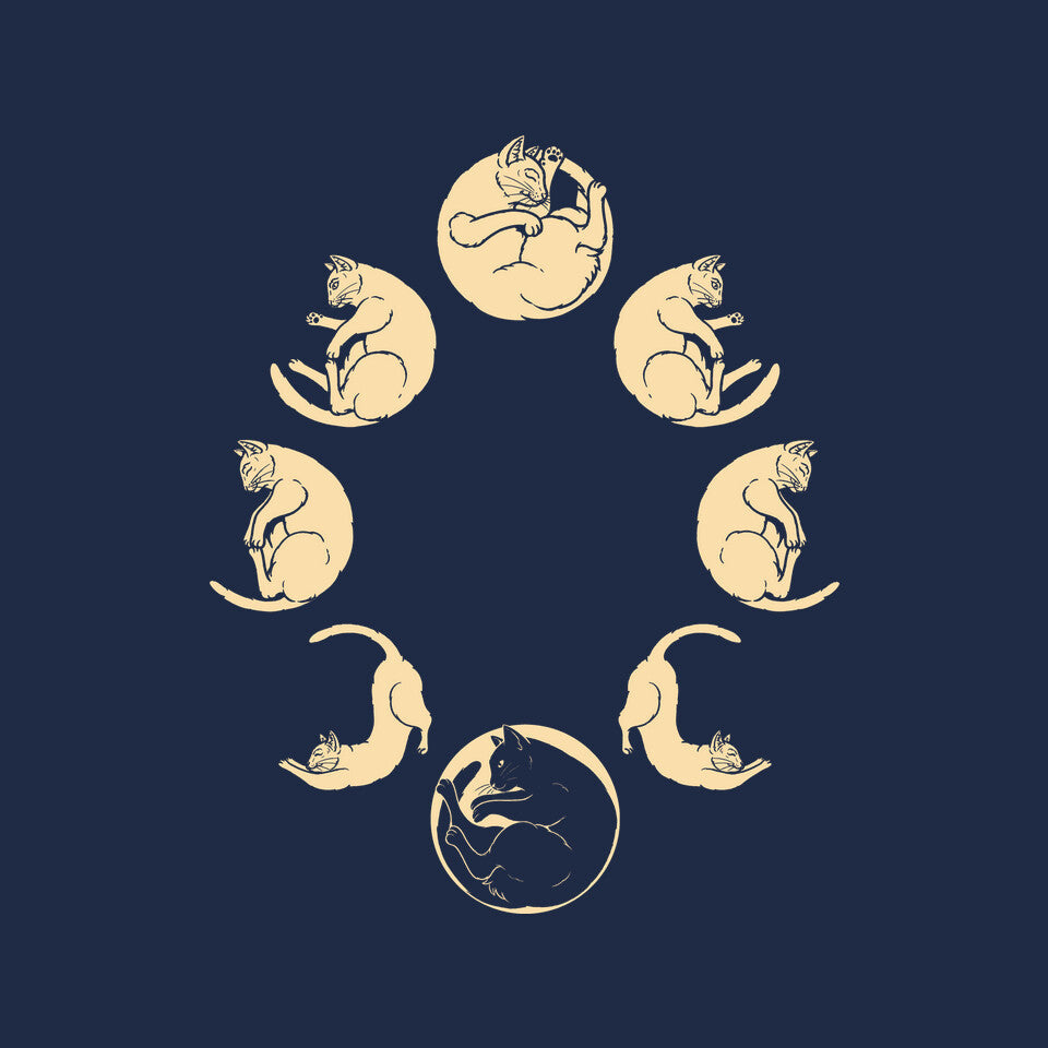 Meow Cycle