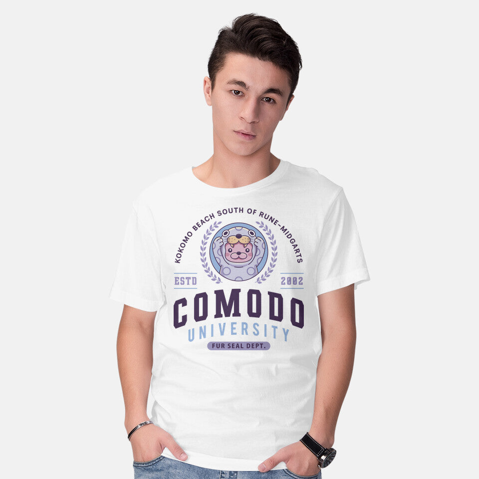 Comodo University