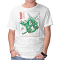 Rayquaza Sumi-E