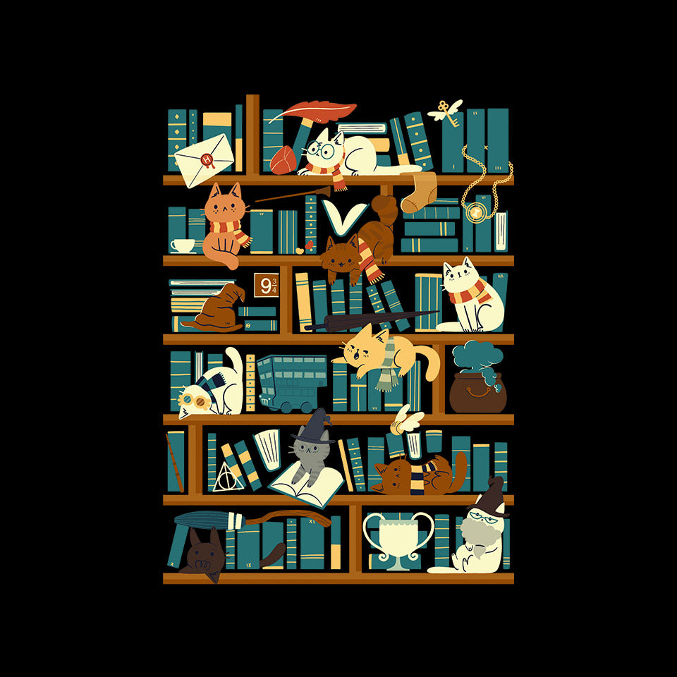 Library Magic School