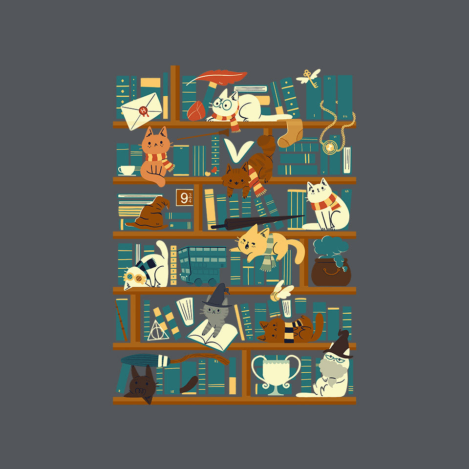 Library Magic School