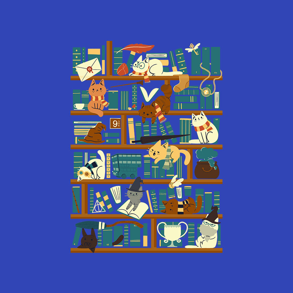 Library Magic School