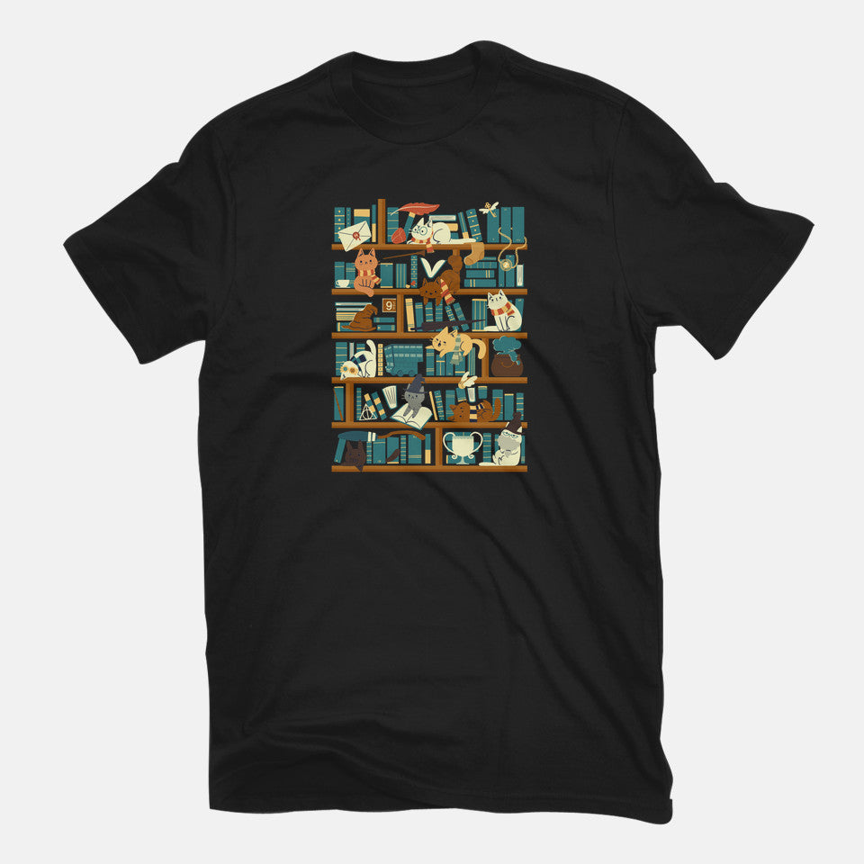 Library Magic School
