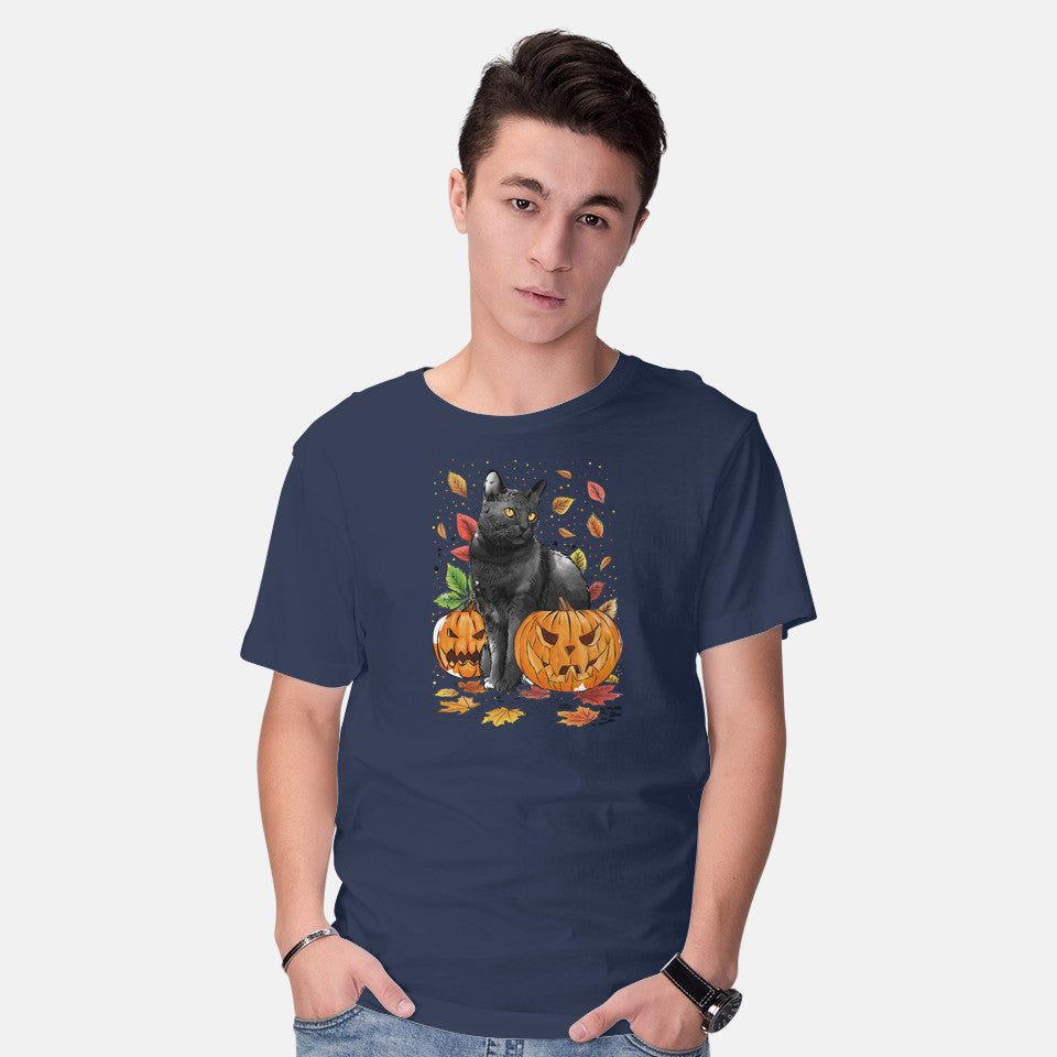 Cat Leaves and Pumpkins