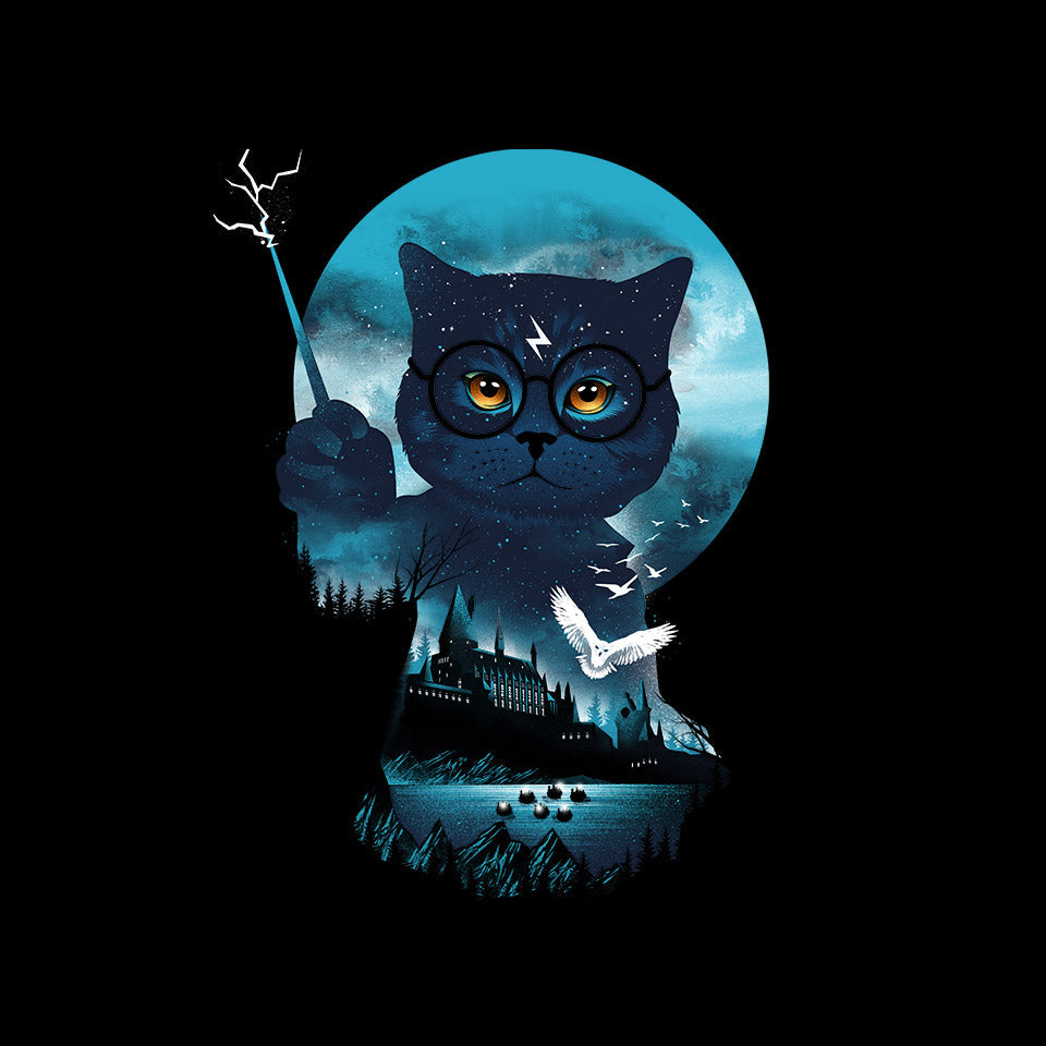 Furry Potter