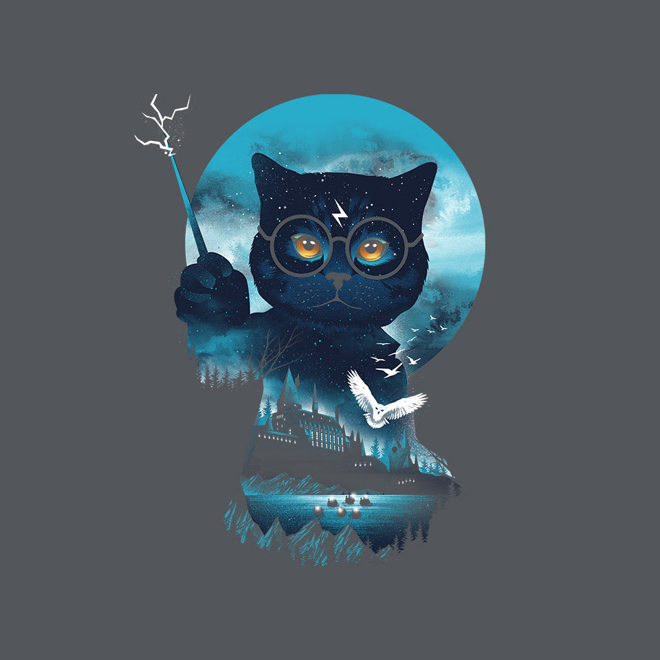 Furry Potter