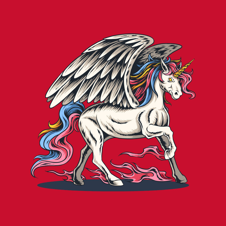 Flying Unicorn