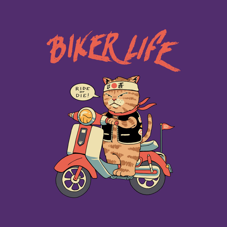 Motor Cat