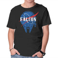 Falcon Nasa