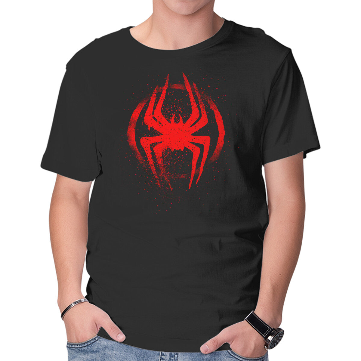 Spiders Journey