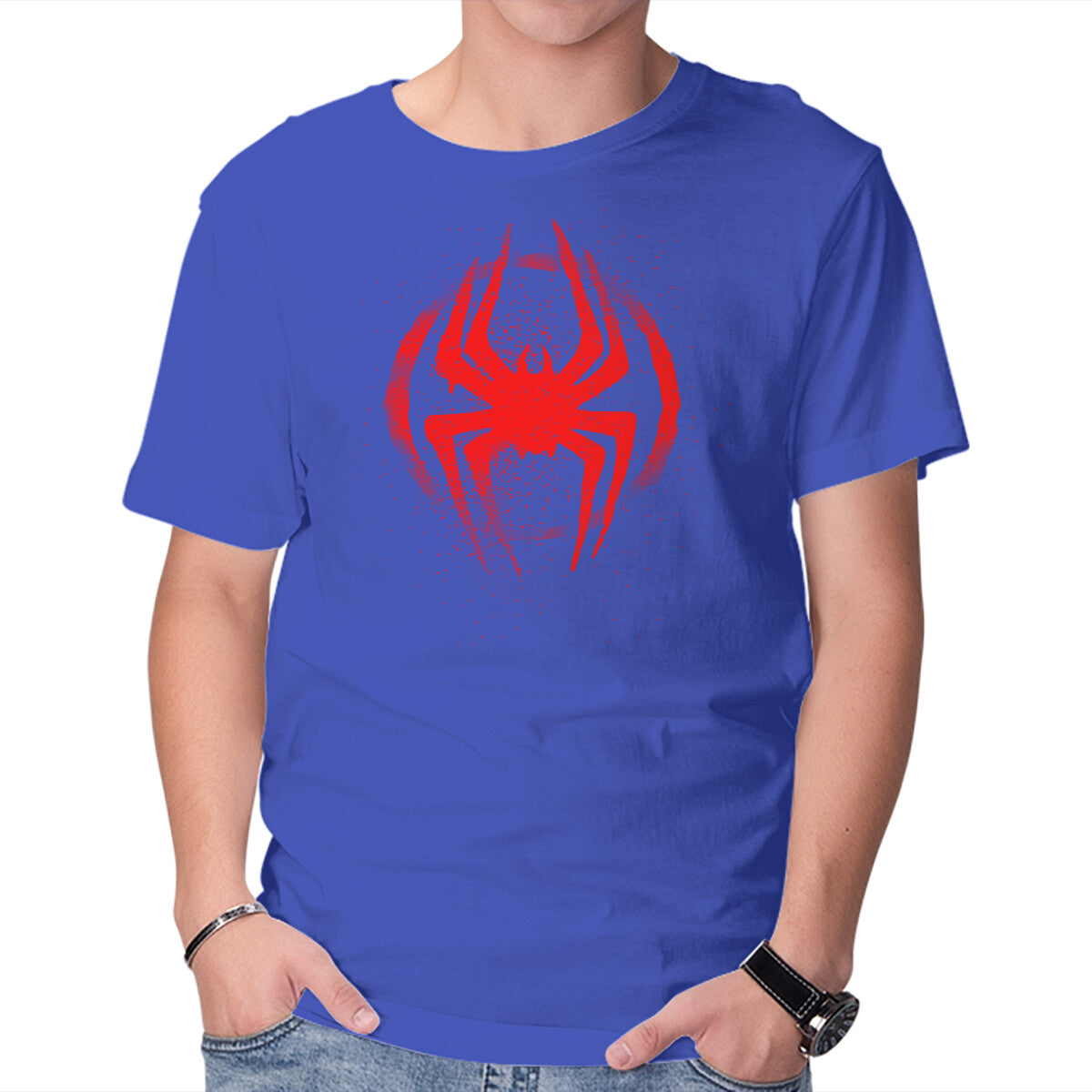 Spiders Journey