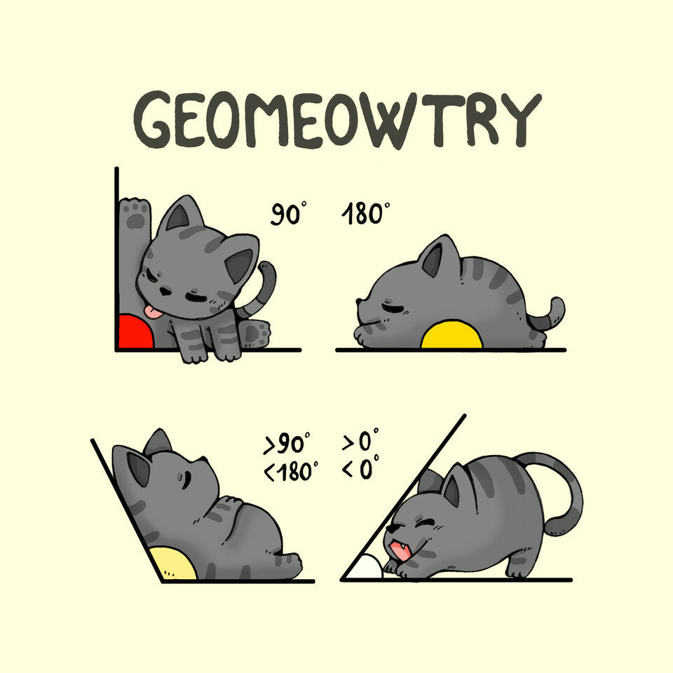 Geomeowtrical