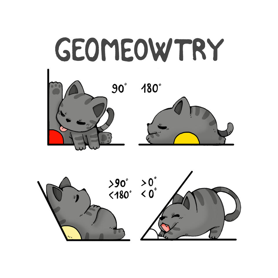 Geomeowtrical