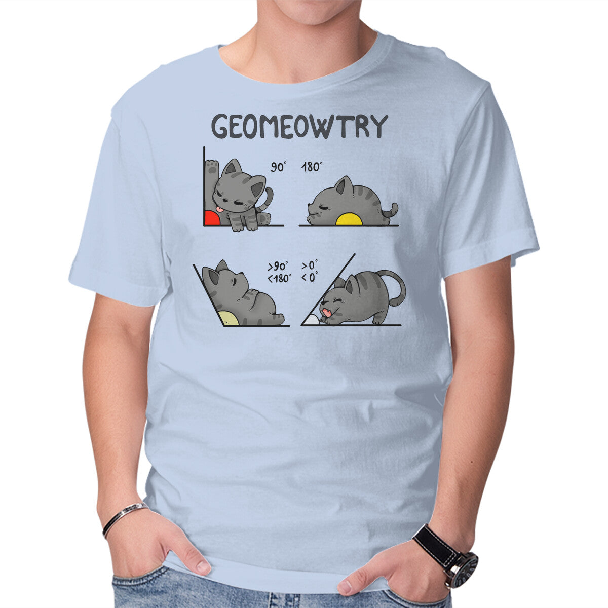 Geomeowtrical