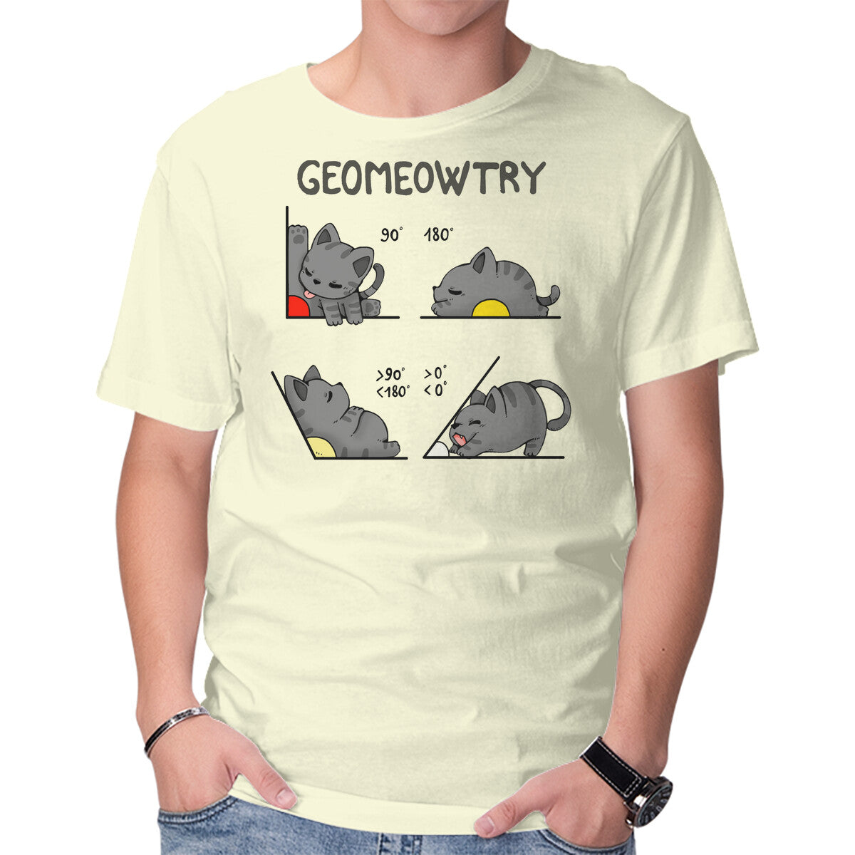 Geomeowtrical
