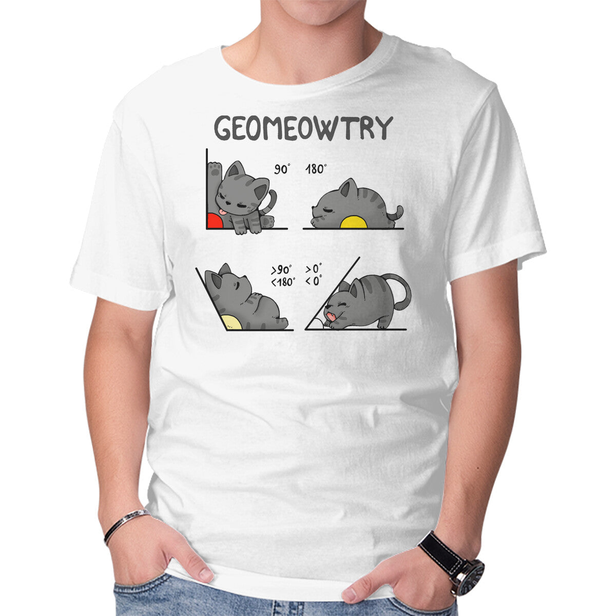 Geomeowtrical