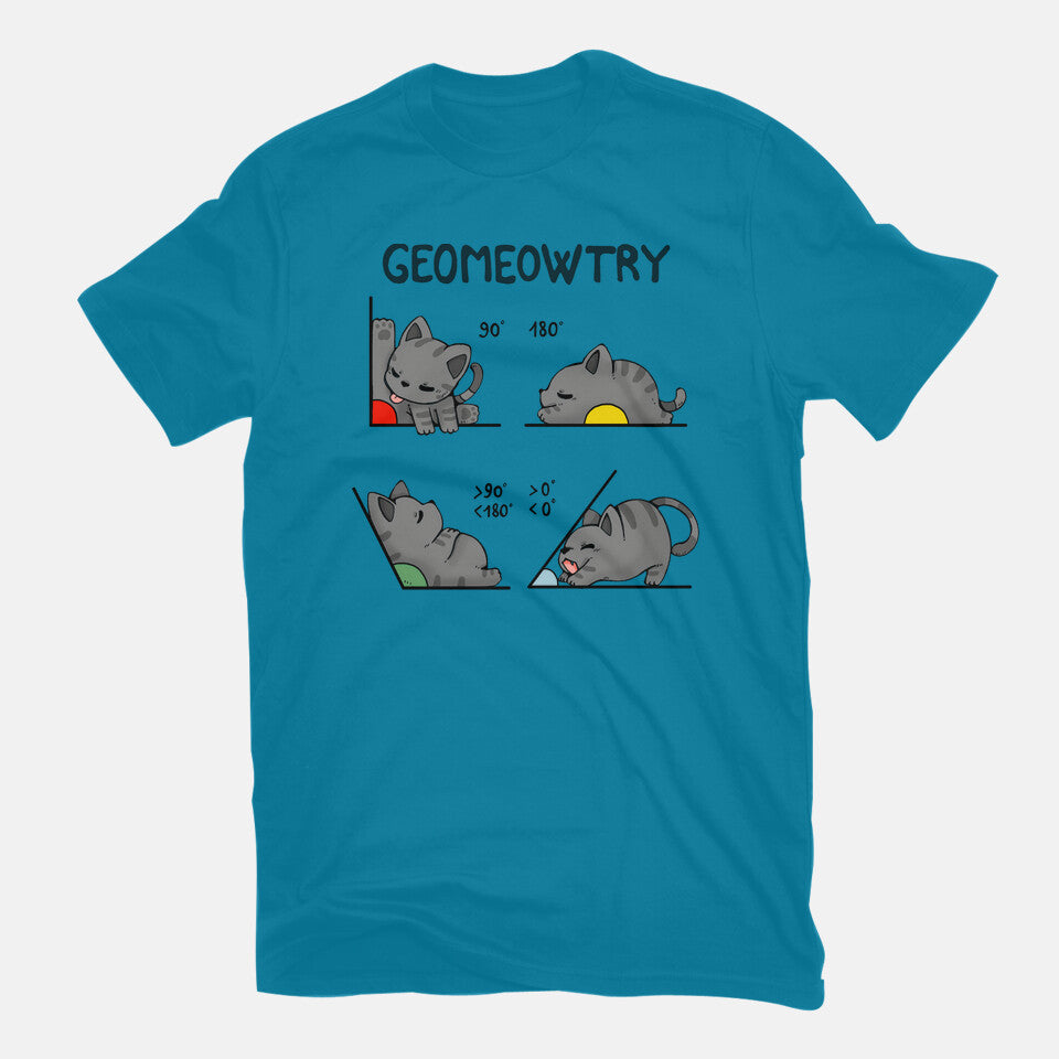Geomeowtrical