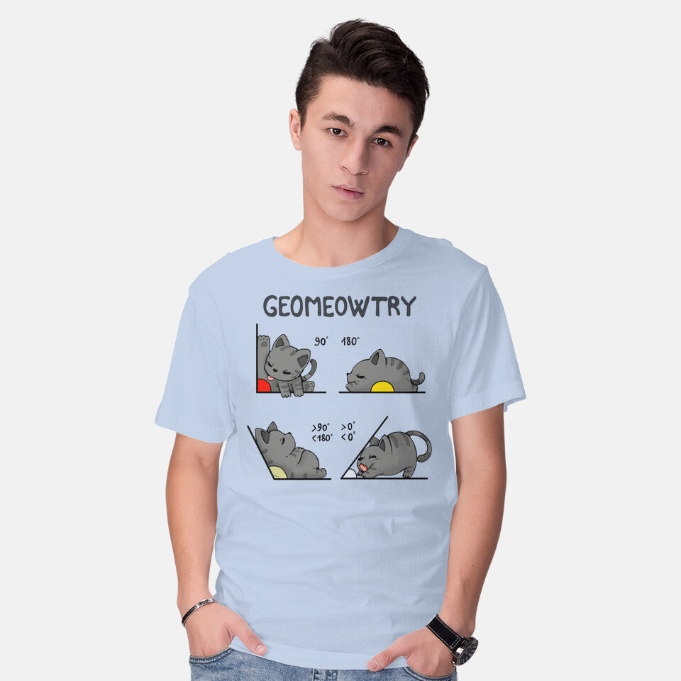 Geomeowtrical