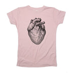 Human Heart Anatomical Illustration
