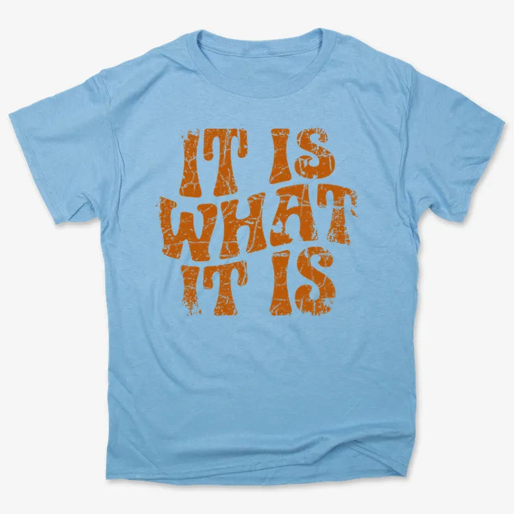 It Is What It Is Retro Graphic
