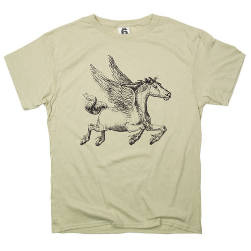 Pegasus Winged Horse Illustration