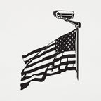 Salute The Camera American Flag Surveillance Camera