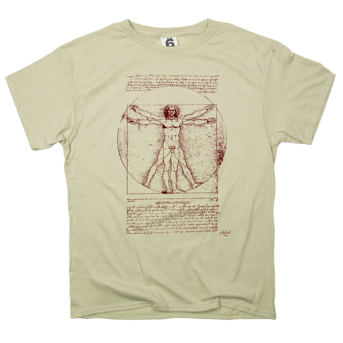 The Vitruvian Man Da Vinci Anatomy Sketch