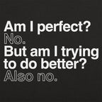 Am I Perfect? No. But Am I Trying to Do Better? Also No