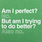 Am I Perfect? No. But Am I Trying to Do Better? Also No