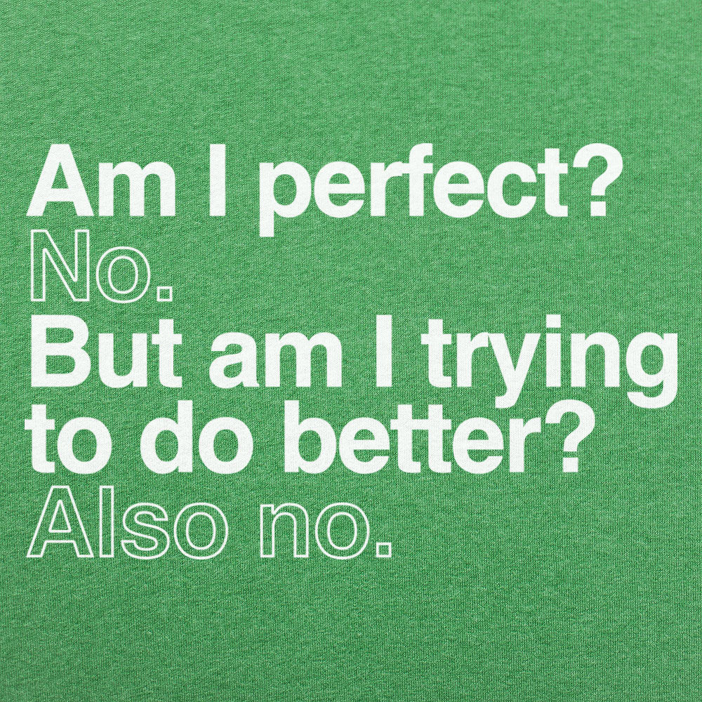 Am I Perfect? No. But Am I Trying to Do Better? Also No