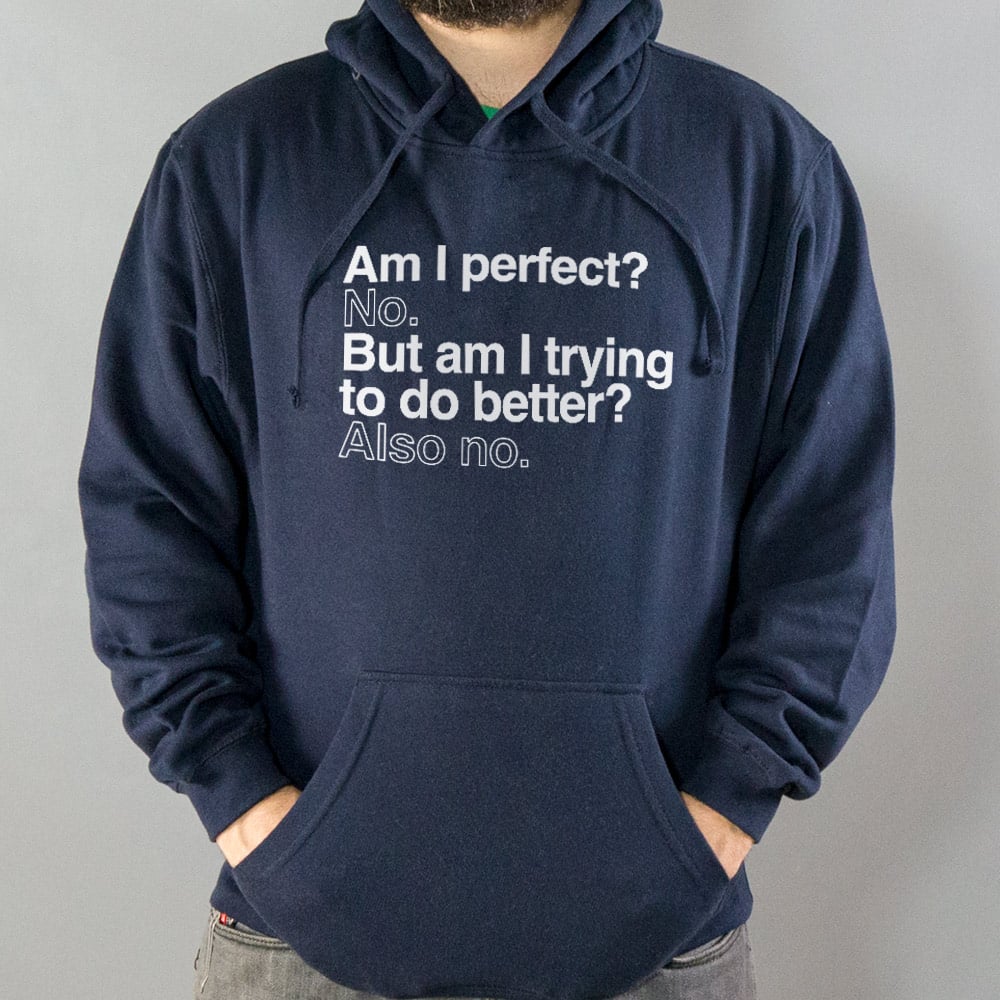 Am I Perfect? No. But Am I Trying to Do Better? Also No