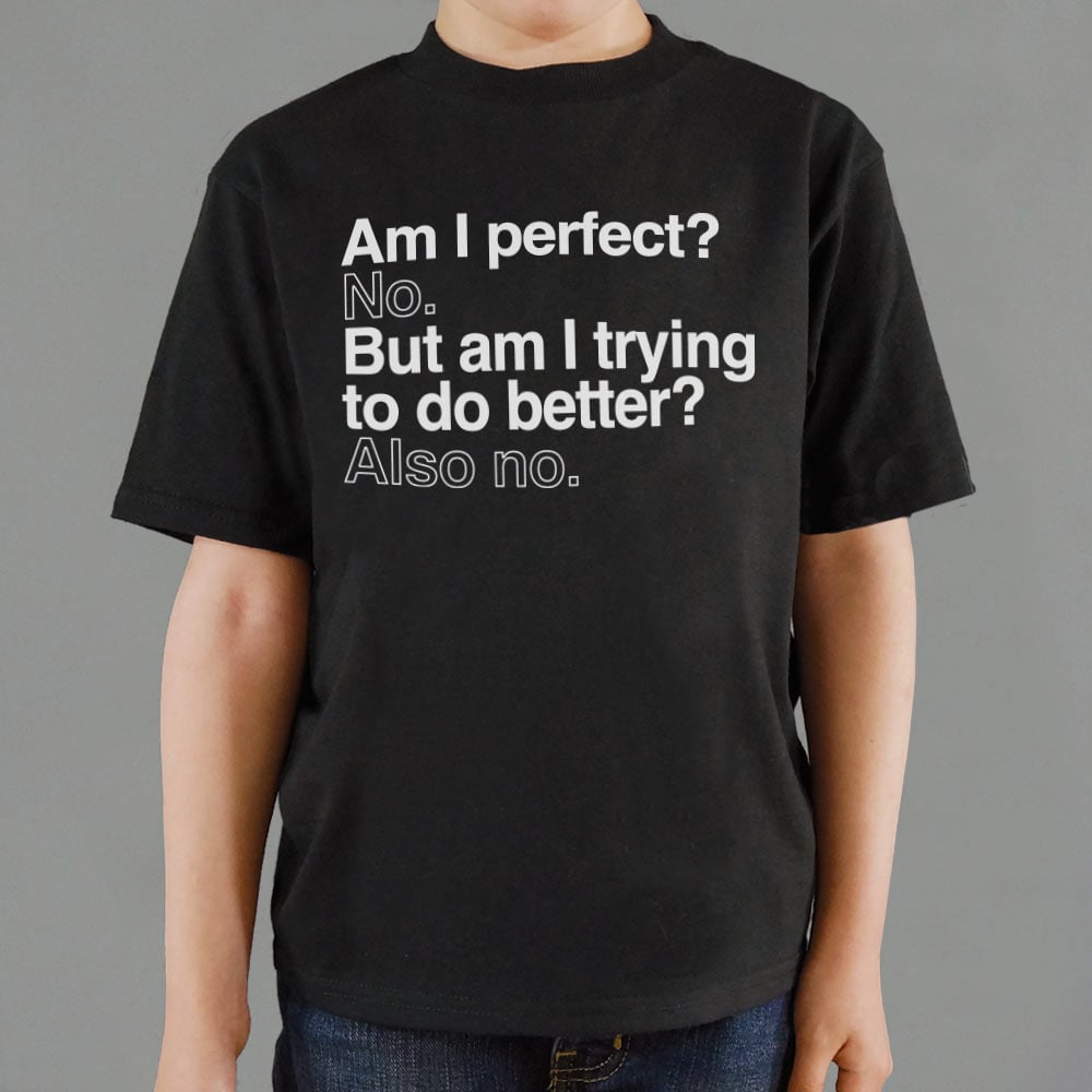 Am I Perfect? No. But Am I Trying to Do Better? Also No